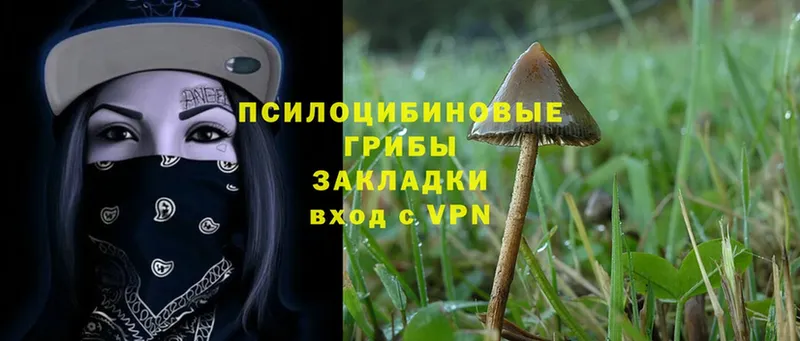 Псилоцибиновые грибы MAGIC MUSHROOMS  Нефтекумск 